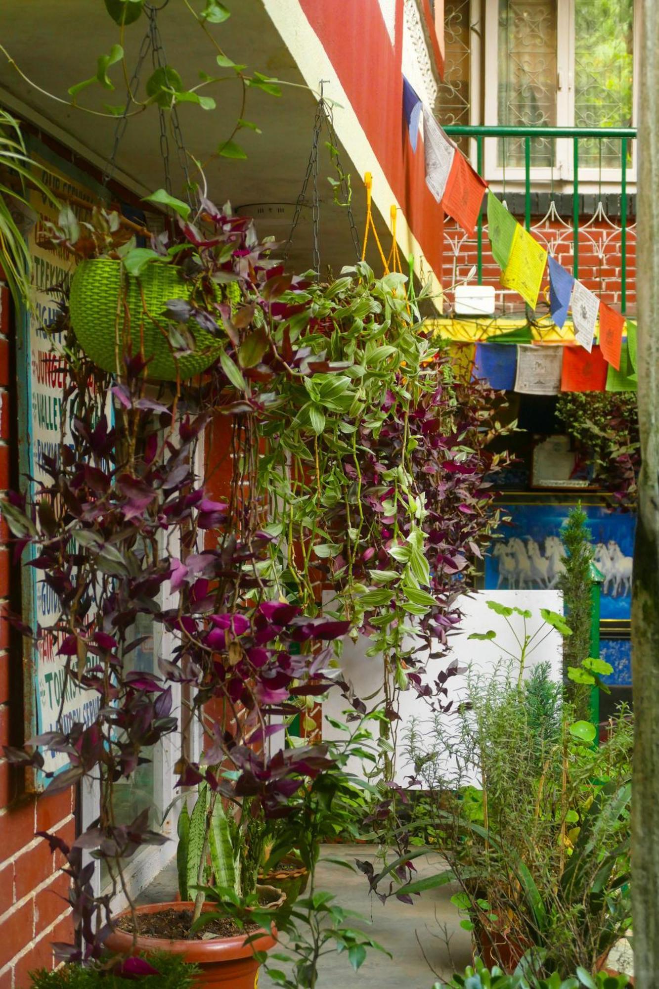 Nirvana Green Peace Home Catmandu Exterior foto